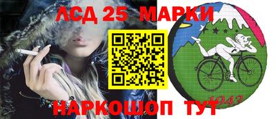 apvp Ярославль