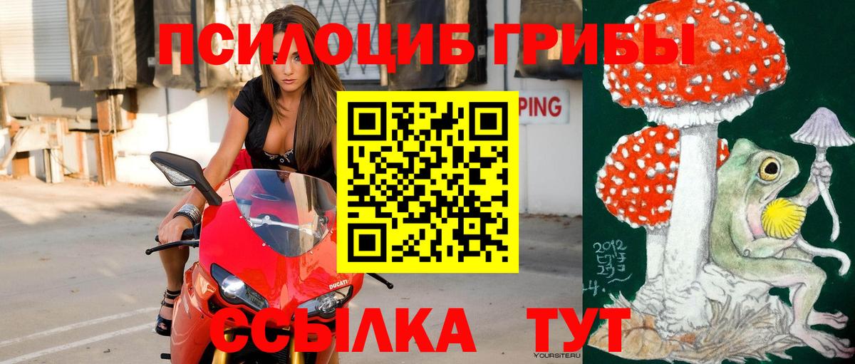 Галлюциногенные грибы мухоморы Ульяновск